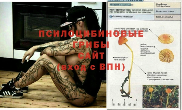 наркотики Богородицк
